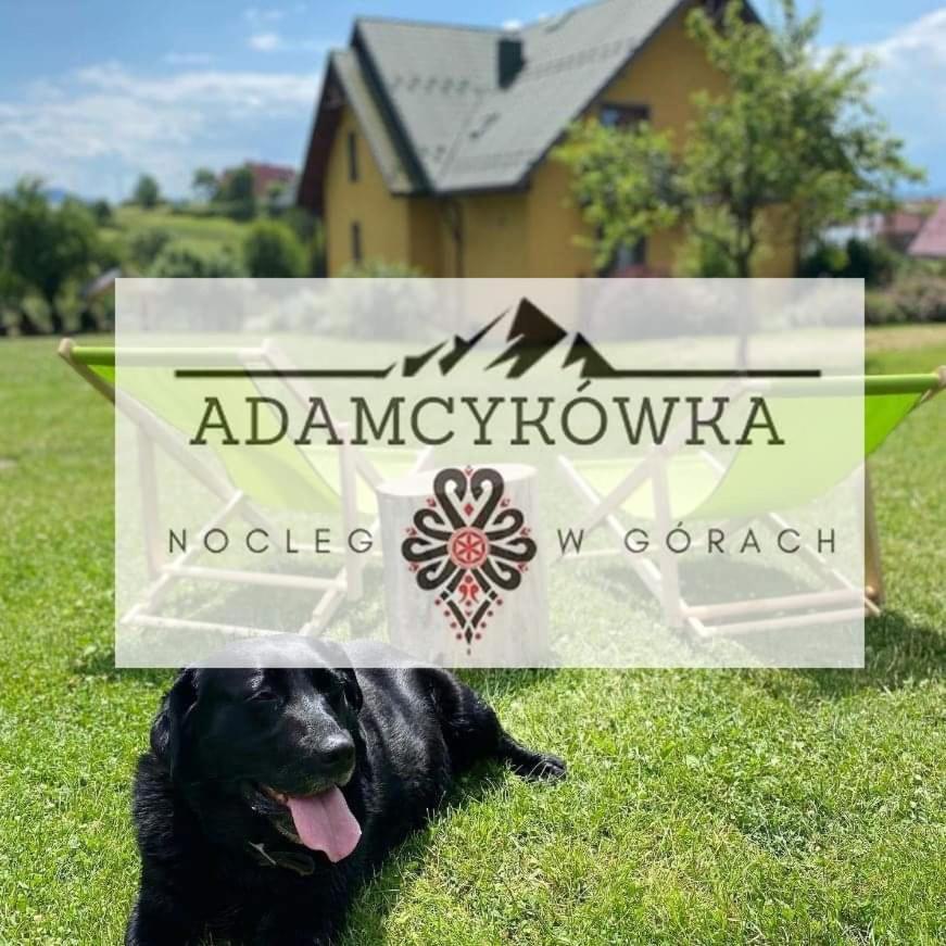 Willa Adamcykówka Kluszkowce Exterior foto